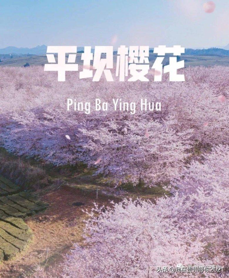 波西亚时光